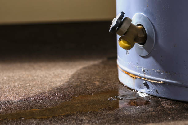 Best Basement water damage restoration  in Strongsville, OH