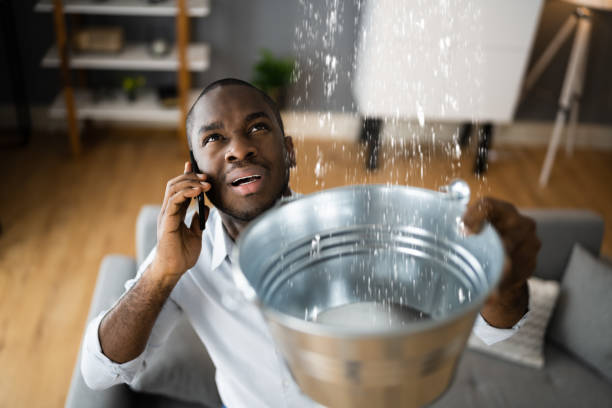 Best Flood damage cleanup  in Strongsville, OH