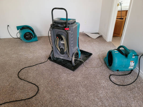 Best 24-hour water damage restoration  in Strongsville, OH
