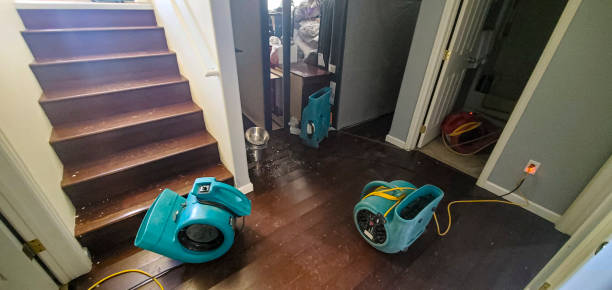 Best Professional water damage repair  in Strongsville, OH