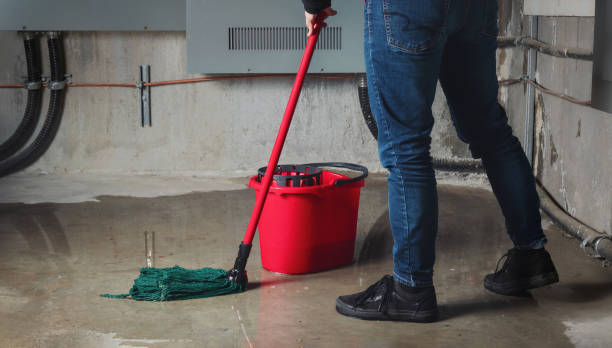 Best Fire Damage Restoration  in Strongsville, OH