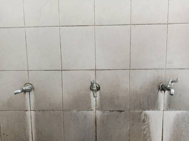  Strongsville, OH Water damage restoration Pros