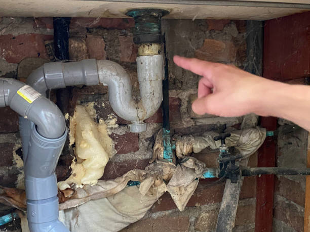 Water damage restoration mold remediation in Strongsville, OH
