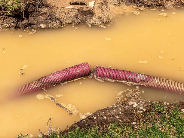 Water damage restoration insurance claims in Strongsville, OH